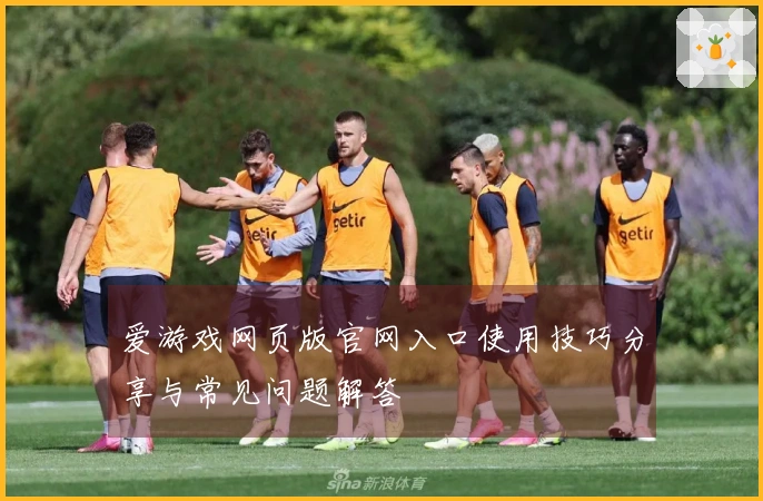 爱游戏网页版官网入口使用技巧分享与常见问题解答